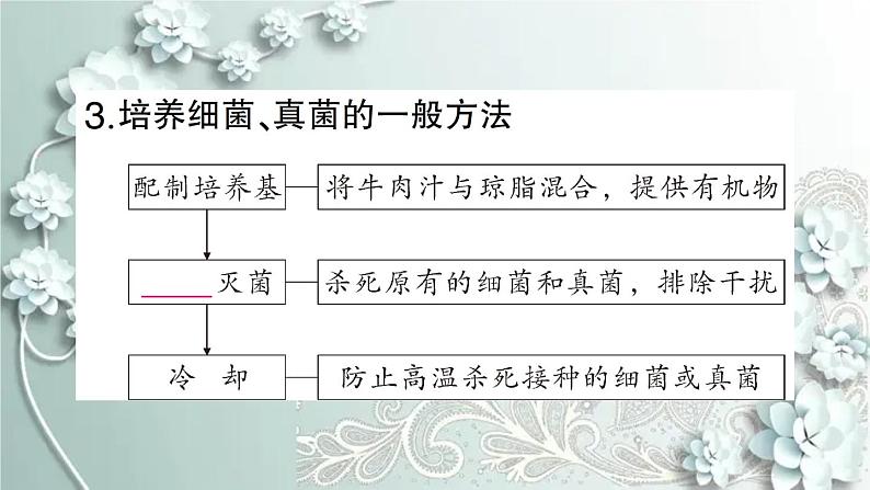 人教版生物八年级上册 第一节 细菌和真菌的分布 课件04