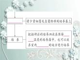 人教版生物八年级上册 第一节 细菌和真菌的分布 课件