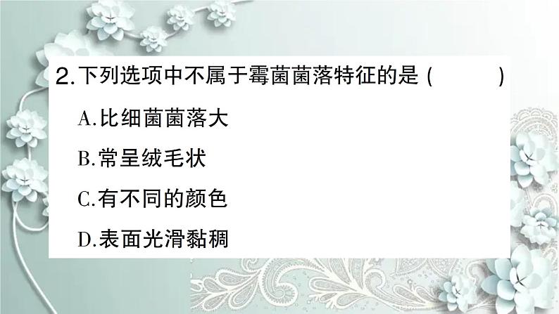 人教版生物八年级上册 第一节 细菌和真菌的分布 课件08