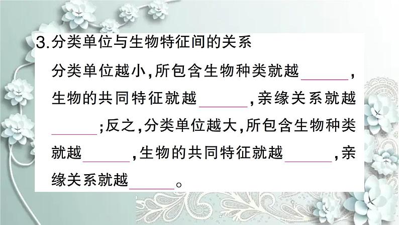 人教版生物八年级上册 期末专题复习四 课件第4页