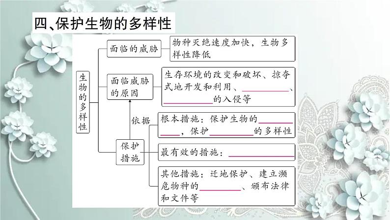 人教版生物八年级上册 期末专题复习四 课件第7页