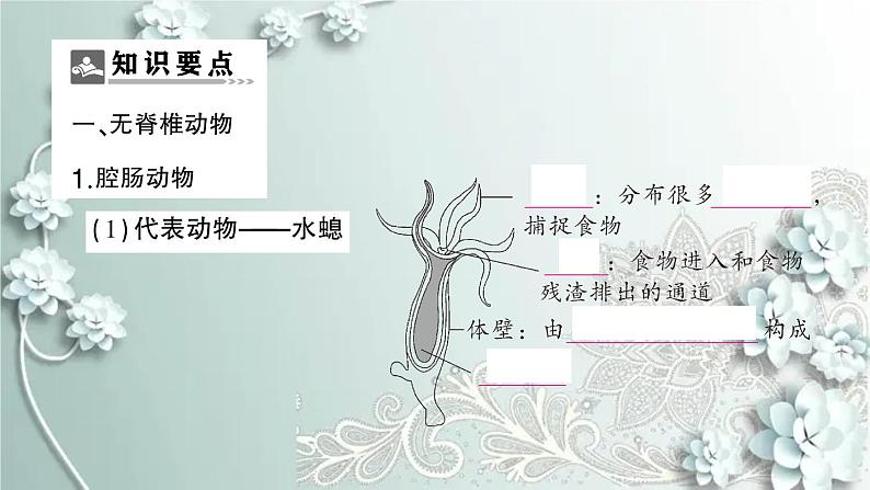 人教版生物八年级上册 期末专题复习一 课件02