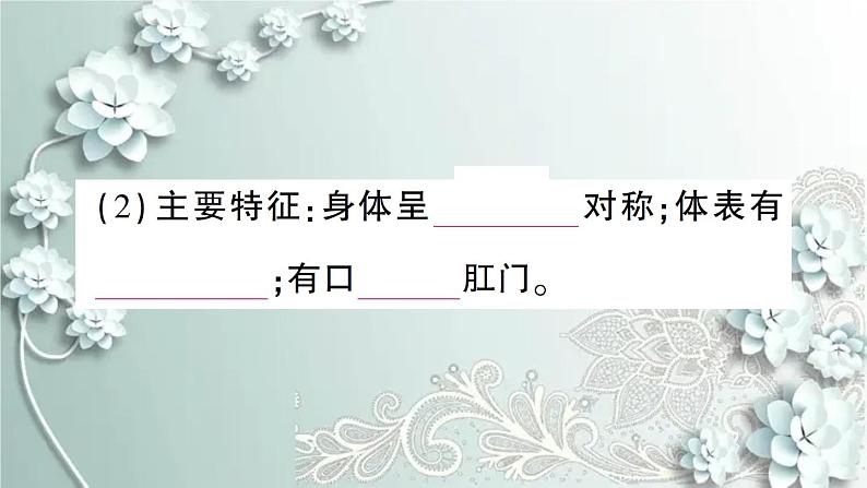 人教版生物八年级上册 期末专题复习一 课件03