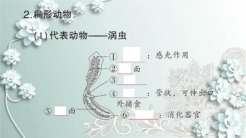 人教版生物八年级上册 期末专题复习一 课件04