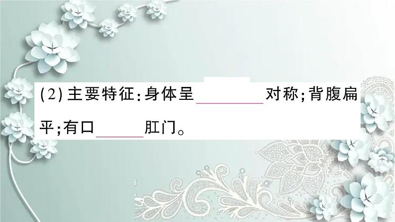 人教版生物八年级上册 期末专题复习一 课件05