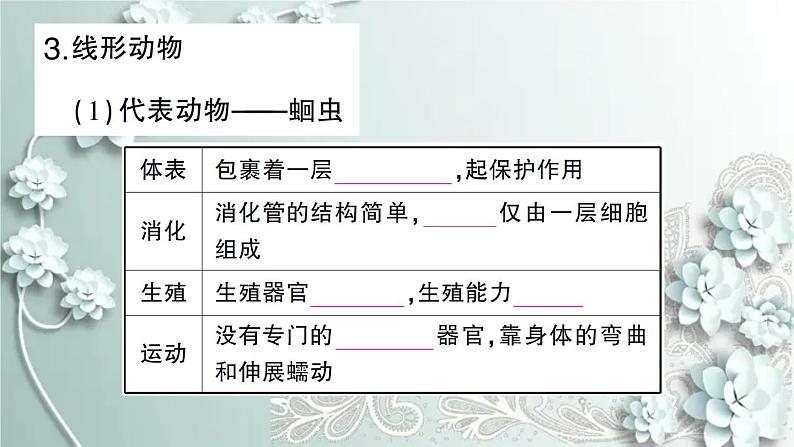 人教版生物八年级上册 期末专题复习一 课件06