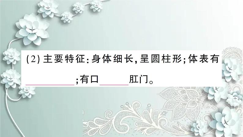 人教版生物八年级上册 期末专题复习一 课件07