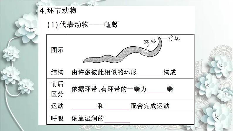 人教版生物八年级上册 期末专题复习一 课件08