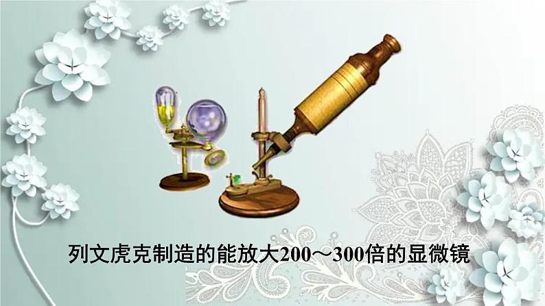 人教版生物八年级上册 第二节 细菌 课件05