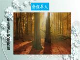 人教版生物八年级上册 第二章 认识生物的多样性 课件