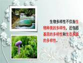人教版生物八年级上册 第二章 认识生物的多样性 课件
