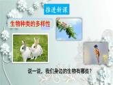 人教版生物八年级上册 第二章 认识生物的多样性 课件