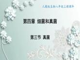人教版生物八年级上册 第三节 真菌 课件