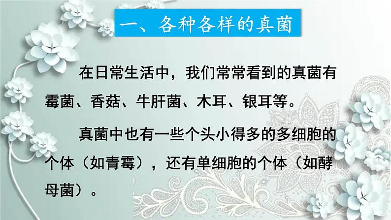 人教版生物八年级上册 第三节 真菌 课件第6页