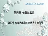 人教版生物八年级上册 第四节 细菌和真菌在自然界中的作用 课件