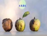 人教版生物八年级上册 第四节 细菌和真菌在自然界中的作用 课件