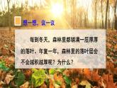 人教版生物八年级上册 第四节 细菌和真菌在自然界中的作用 课件