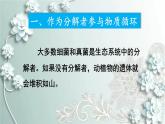 人教版生物八年级上册 第四节 细菌和真菌在自然界中的作用 课件