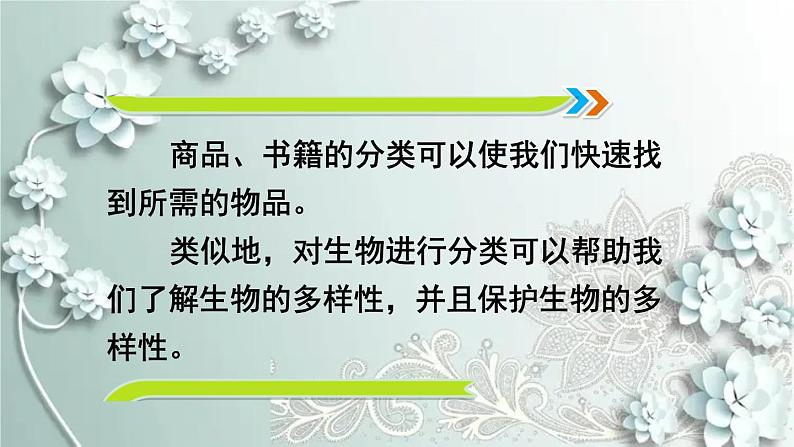 人教版生物八年级上册 第一节 尝试对生物进行分类 课件第5页