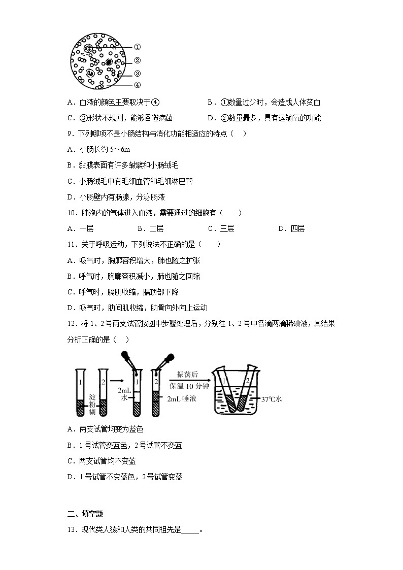 甘肃省定西市岷县2021-2022学年七年级下学期期中生物试题(含答案)第2页