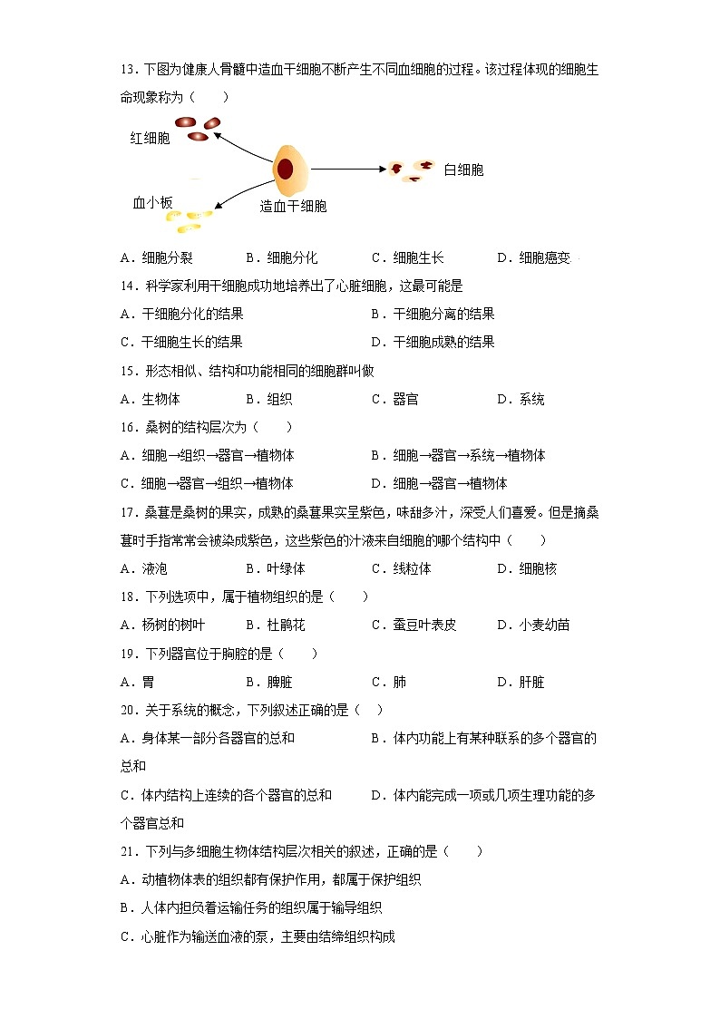江苏省苏州市吴江区震梅平初中教育集团2021-2022学年七年级下学期期中生物试题(含答案)03