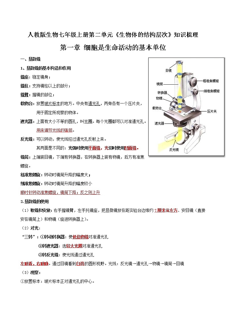 【必背知识清单】人教版生物七年级上册  2.1 细胞是生命活动的基本单位  章节知识清单01