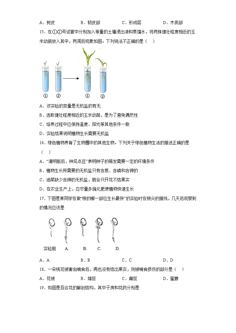 山东省烟台市栖霞市2021-2022学年六年级下学期期中生物试题(含答案)03