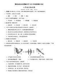 湖北省黄冈市浠水县团陂初级中学2022-2023学年八年级上学期期中考试生物试题(含答案)