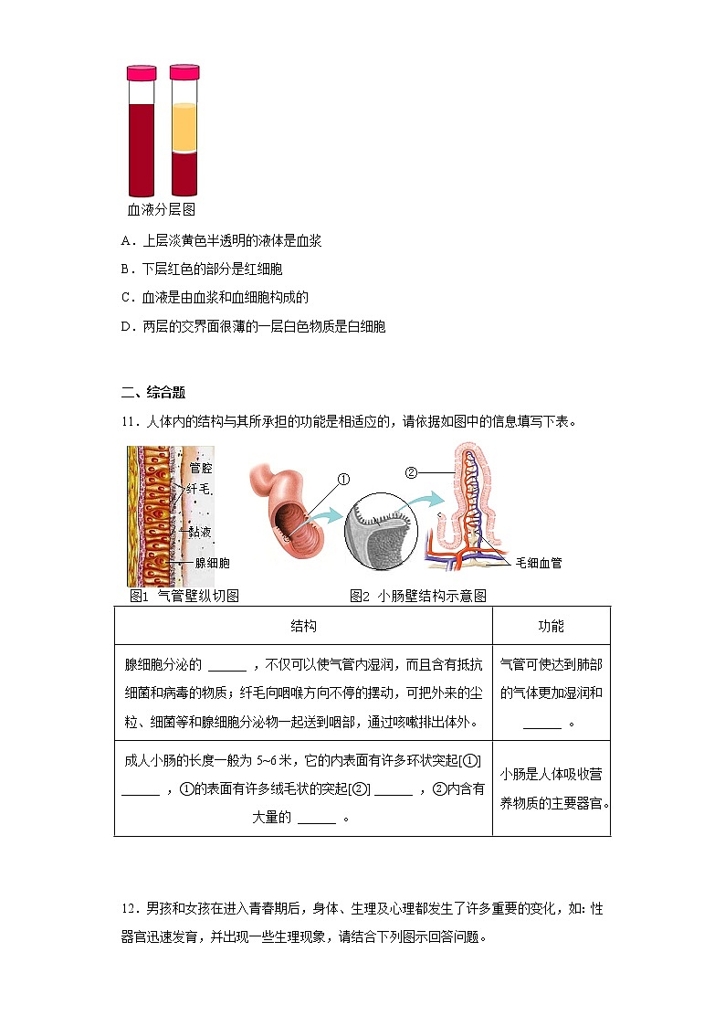安徽省六安市霍邱县2021-2022学年七年级下学期期中生物试题(含答案)03