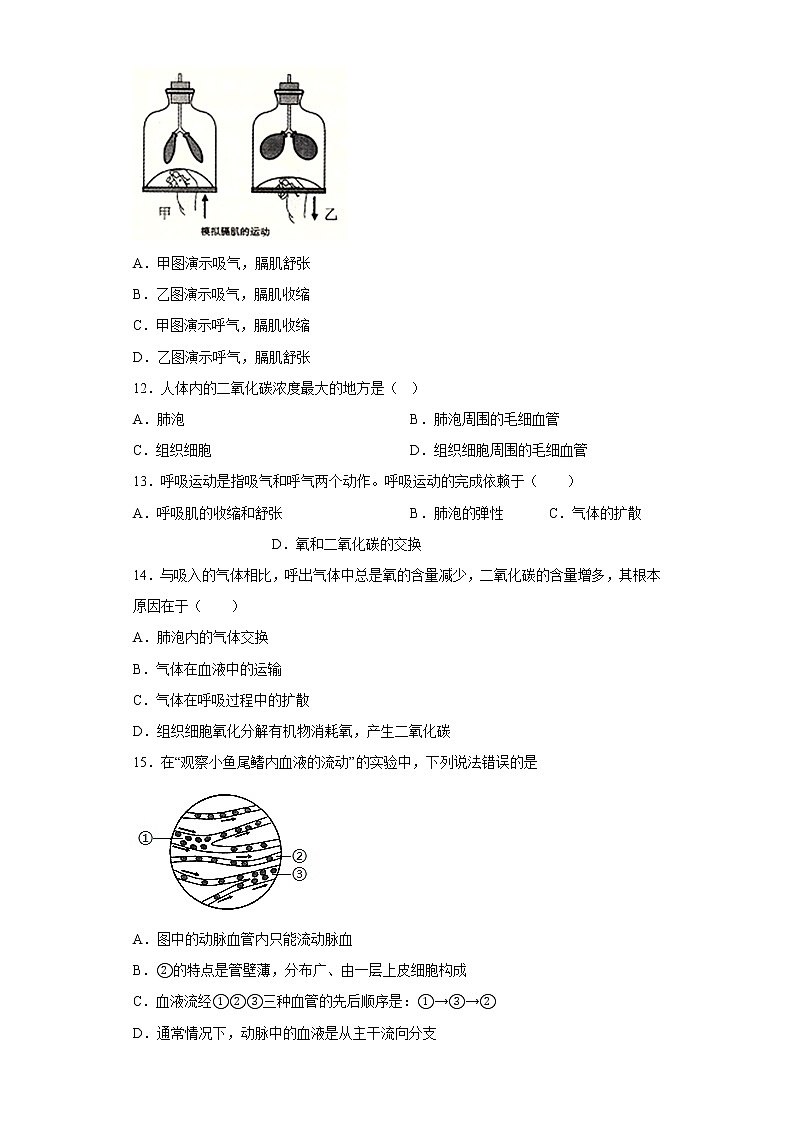 山东省济南市章丘区2021-2022学年七年级下学期期中片区联考生物试题(含答案)第3页
