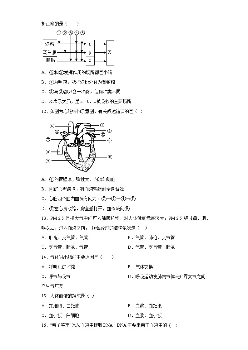 四川省眉山市仁寿县2021-2022学年七年级下学期期中生物试题(含答案)03