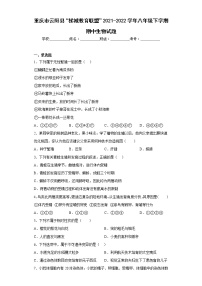 重庆市云阳县“梯城教育联盟”2021-2022学年八年级下学期期中生物试题(含答案)