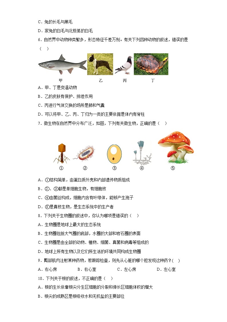 重庆市云阳县两溪缘教育联盟2021-2022学年九年级下学期期中生物试题(含答案)第2页
