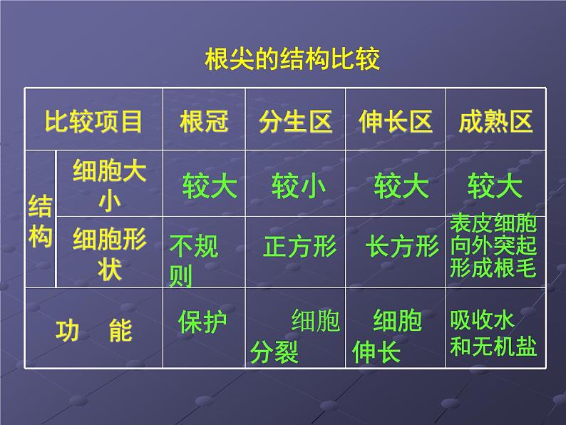 2022年苏教版5.2植物根的生长PPT06