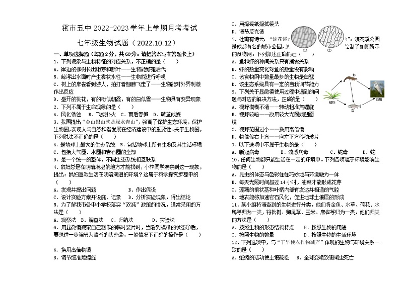 内蒙古霍林郭勒市第五中学2022-2023学年七年级上学期第一次月考生物试题（含答案）第1页
