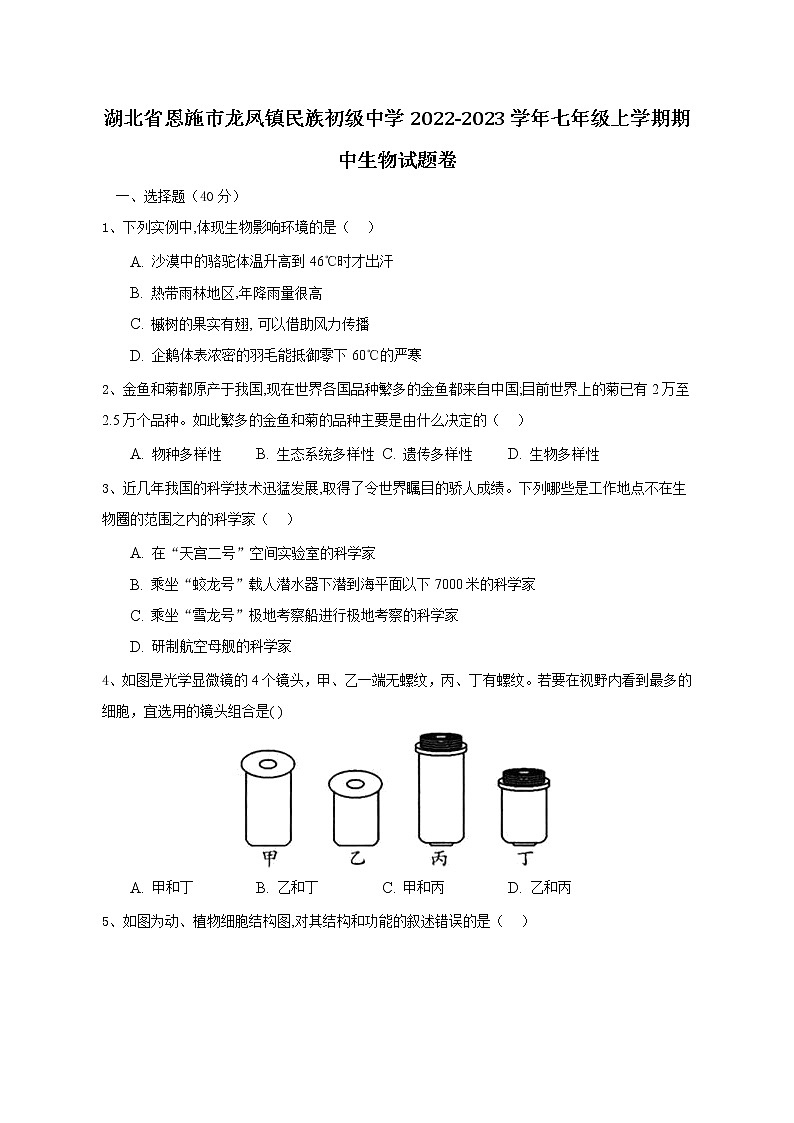 湖北省恩施市龙凤镇民族初级中学2022-2023学年七年级上学期期中生物试题卷(含答案)01