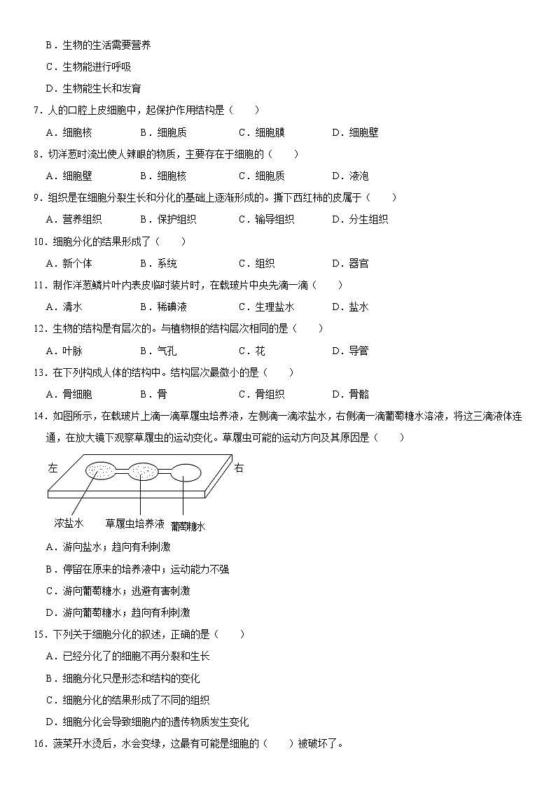 山东省德州市齐河县胡官屯镇中学2022-2023学年七年级上学期第一次月考生物试卷 (含答案)第2页