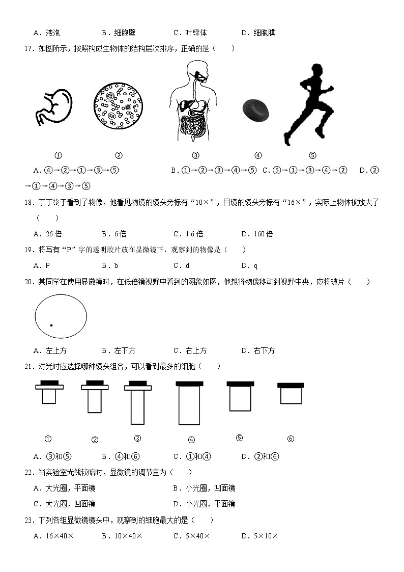 山东省德州市齐河县胡官屯镇中学2022-2023学年七年级上学期第一次月考生物试卷 (含答案)第3页