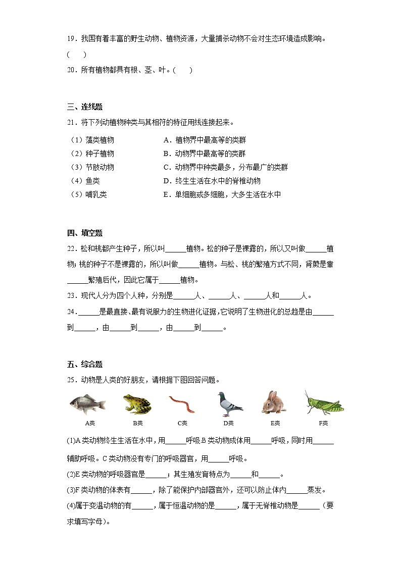 贵州省铜仁市沿河土家族自治县2021-2022学年八年级下学期期中生物试题(含答案)第3页