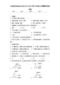 吉林省吉林市永吉县2022-2023学年七年级上学期期中生物试题(含答案)