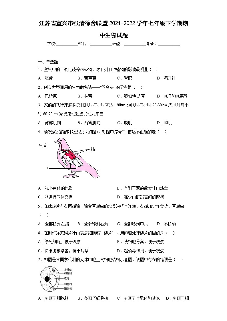 江苏省宜兴市张渚徐舍联盟2021-2022学年七年级下学期期中生物试题(含答案)01