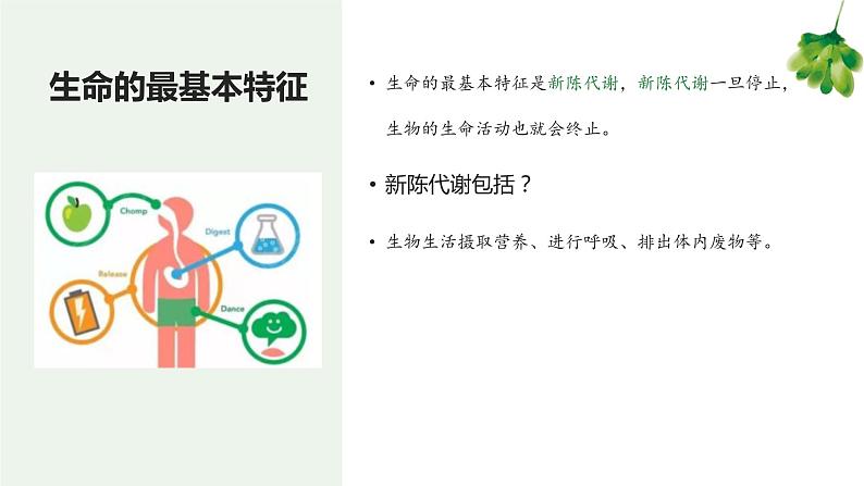 专题01 生物和生物圈（知识串讲课件）-2022-2023学年七年级生物上学期期中期末考点大串讲（人教版）05