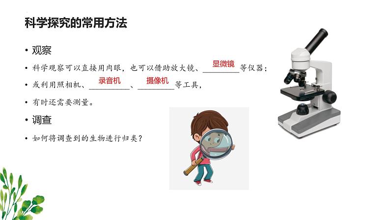 专题01 生物和生物圈（知识串讲课件）-2022-2023学年七年级生物上学期期中期末考点大串讲（人教版）06