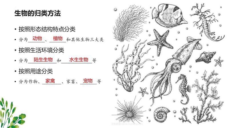 专题01 生物和生物圈（知识串讲课件）-2022-2023学年七年级生物上学期期中期末考点大串讲（人教版）07