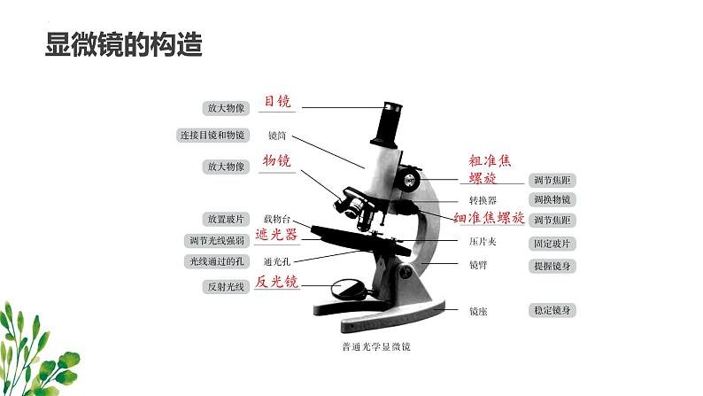 专题02 细胞是生命活动的基本单位（知识串讲课件）-2022-2023学年七年级生物上学期期中期末考点大串讲（人教版）03