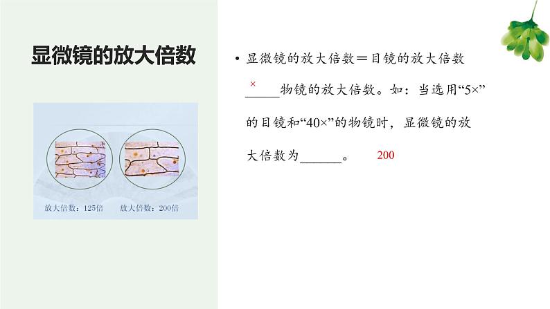 专题02 细胞是生命活动的基本单位（知识串讲课件）-2022-2023学年七年级生物上学期期中期末考点大串讲（人教版）06