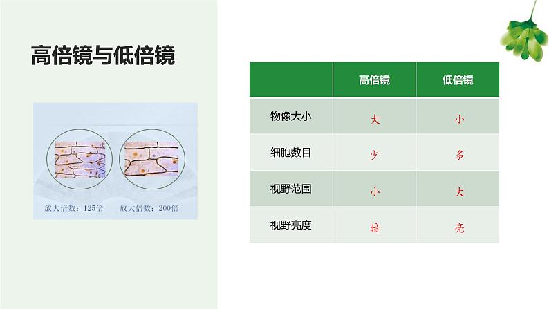 专题02 细胞是生命活动的基本单位（知识串讲课件）-2022-2023学年七年级生物上学期期中期末考点大串讲（人教版）07