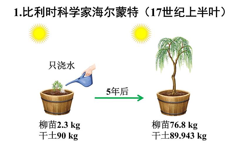 光合作用  课件第5页