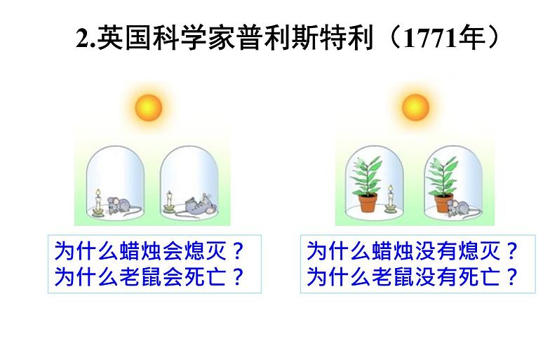 光合作用  课件第8页