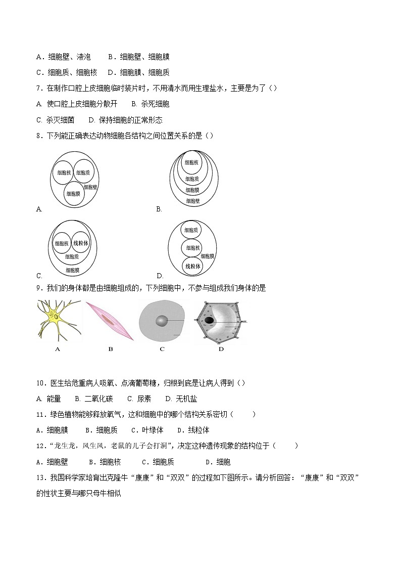 专题02 细胞是生命活动的基本单位（专题过关练）-2022-2023学年七年级生物上学期期中期末考点大串讲（人教版）02